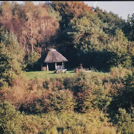 Franzenhof דירה *