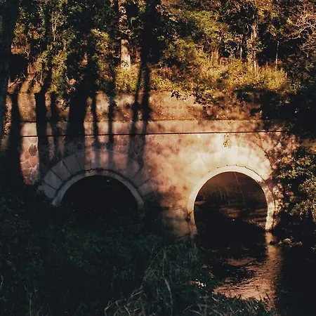 Franzenhof דירה