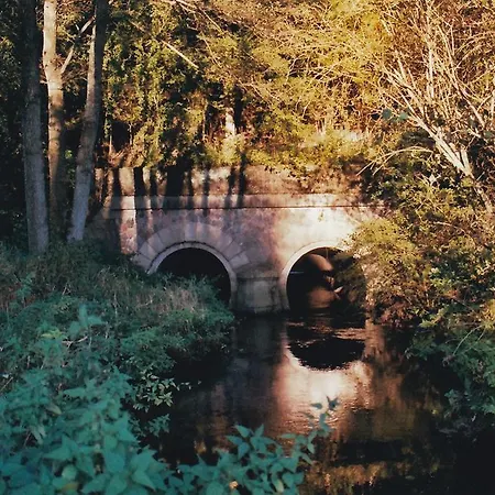 Franzenhof *